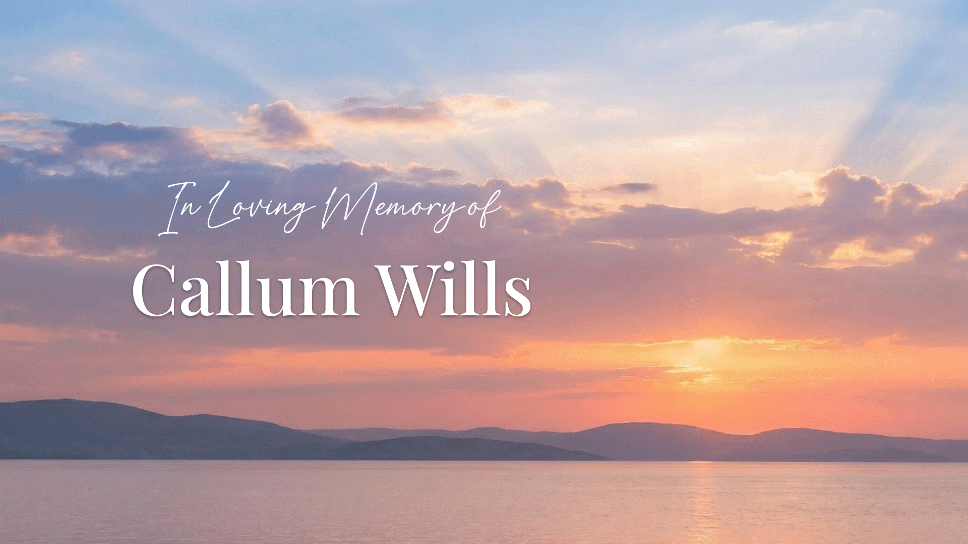 Portrait of Callum Wills