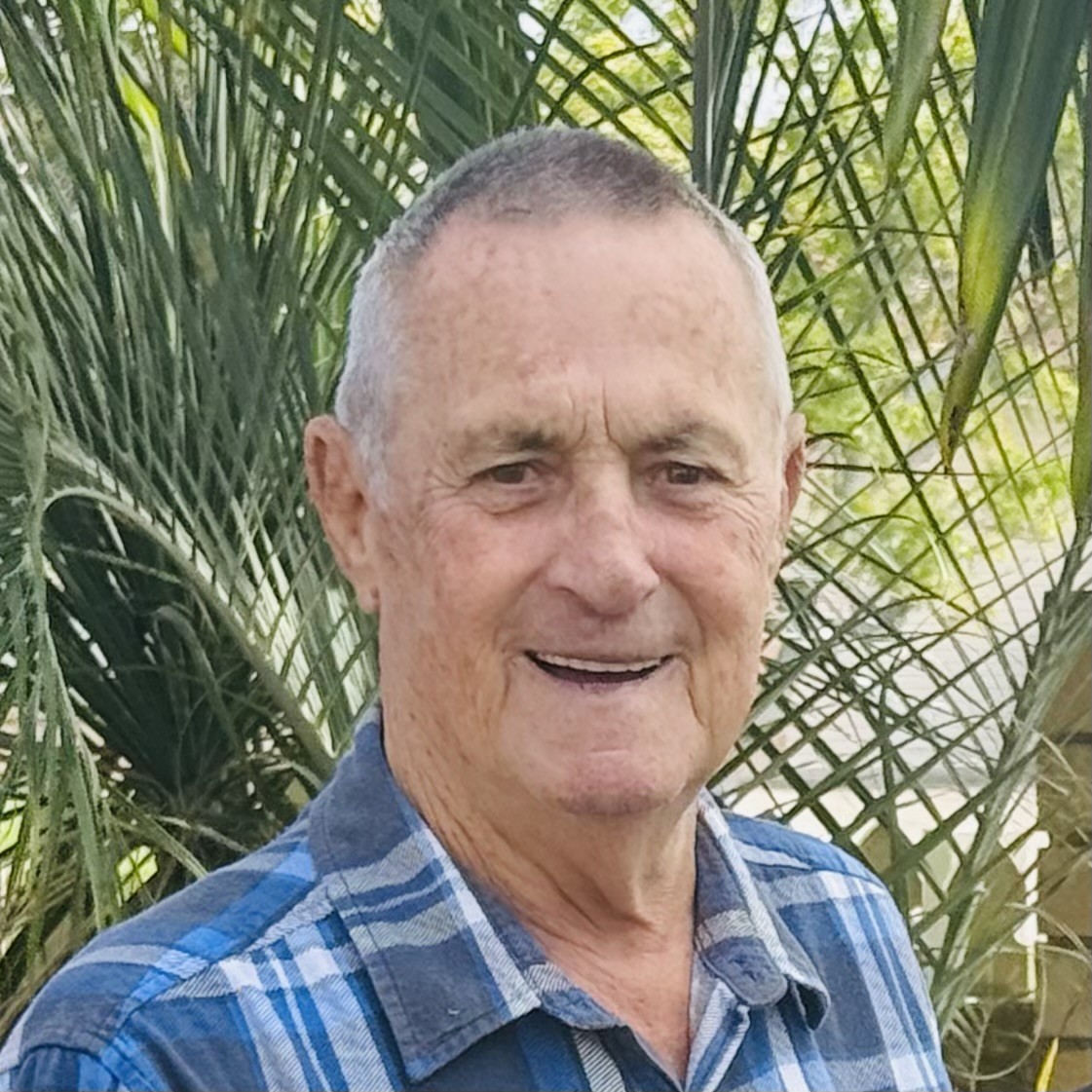 Terry Honeychurch